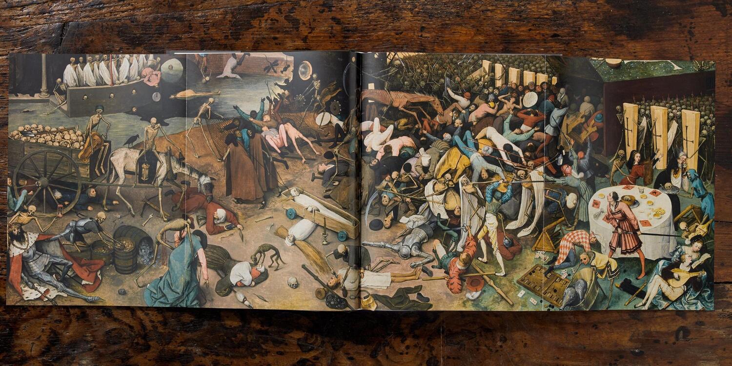 Bild: 9783836556880 | Pieter Bruegel. Das vollständige Werk | Jürgen Müller (u. a.) | Buch