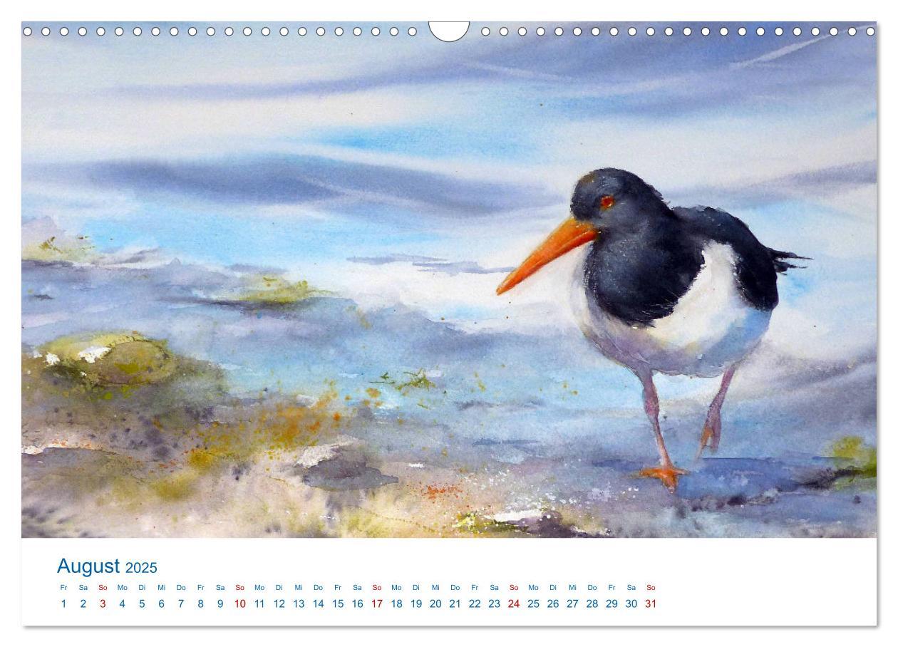 Bild: 9783457146668 | Föhr - Aquarelle (Wandkalender 2025 DIN A3 quer), CALVENDO...