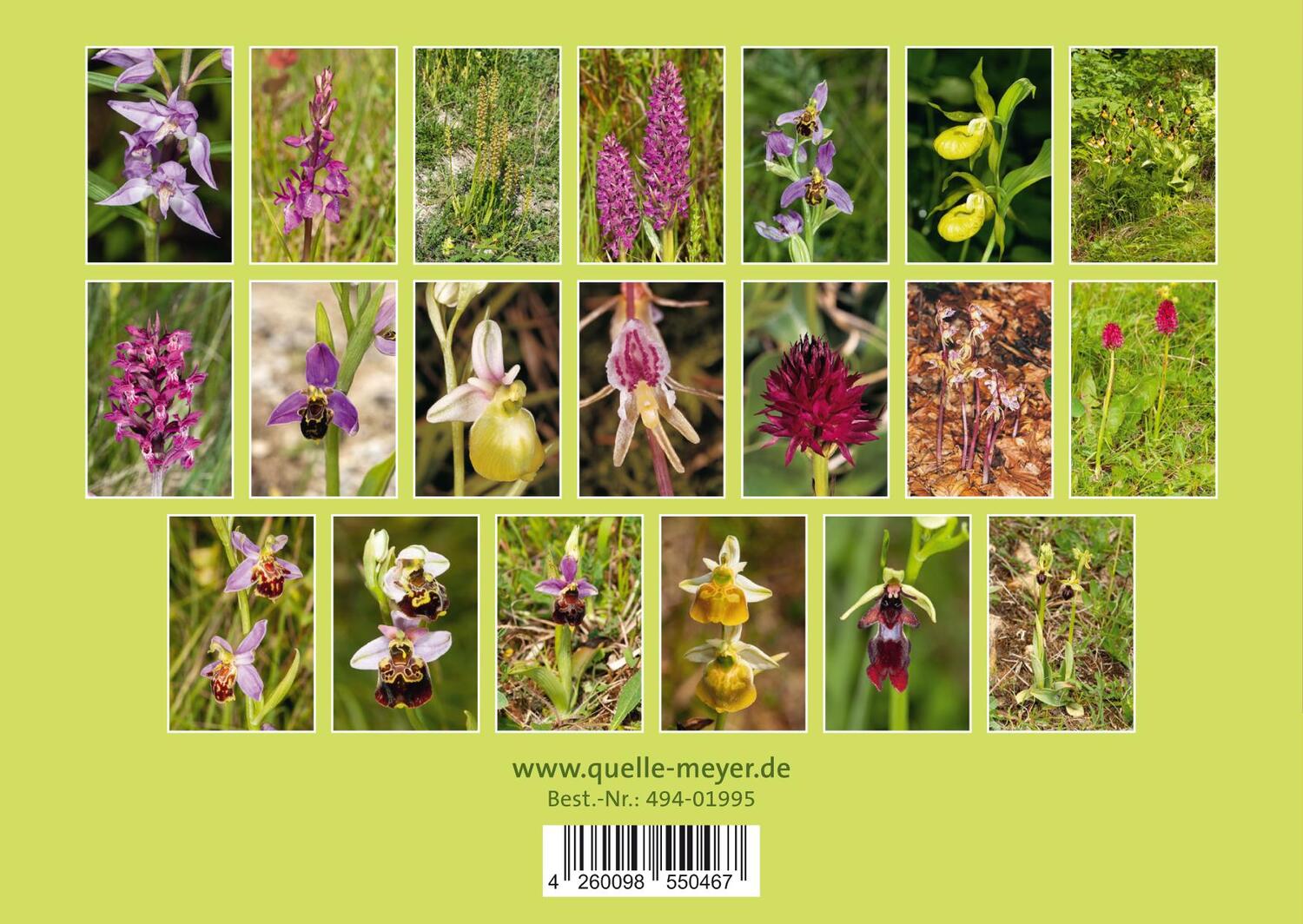 Rückseite: 4260098550467 | Heimische Orchideen | 20 Fotokarten | Quelle &amp; Meyer Verlag | Buch