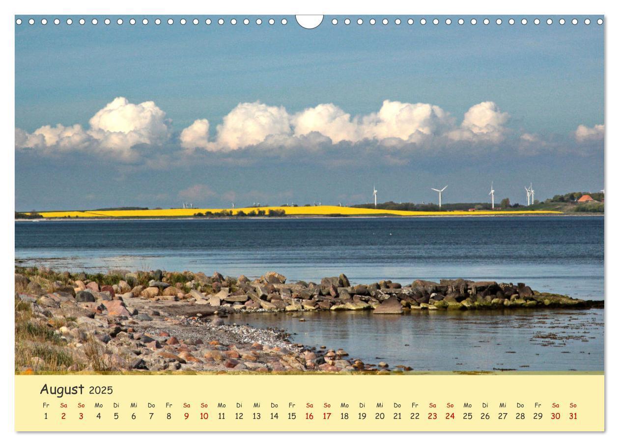 Bild: 9783435095162 | Rapsblüte an der Ostsee (Wandkalender 2025 DIN A3 quer), CALVENDO...