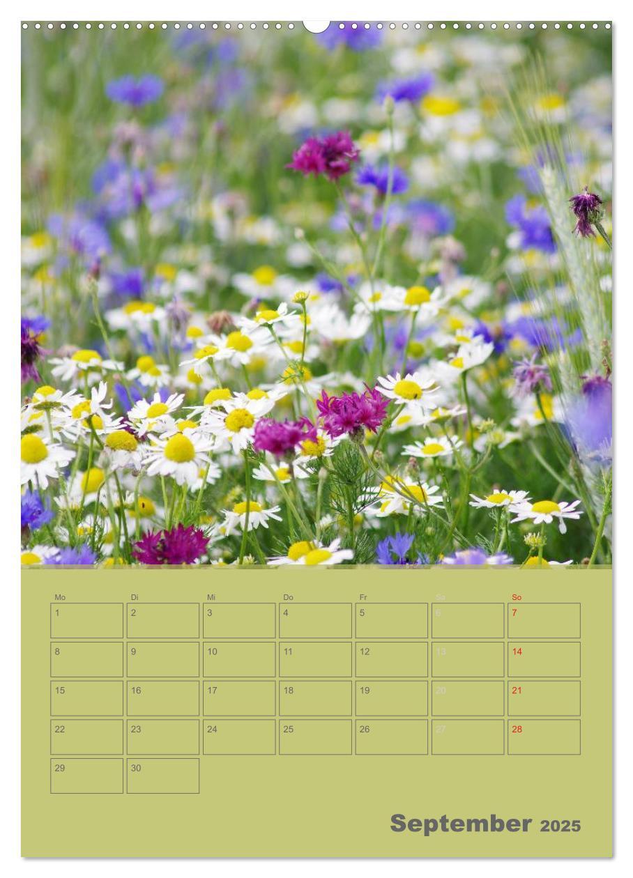 Bild: 9783457087817 | Naturbilder (Wandkalender 2025 DIN A2 hoch), CALVENDO Monatskalender