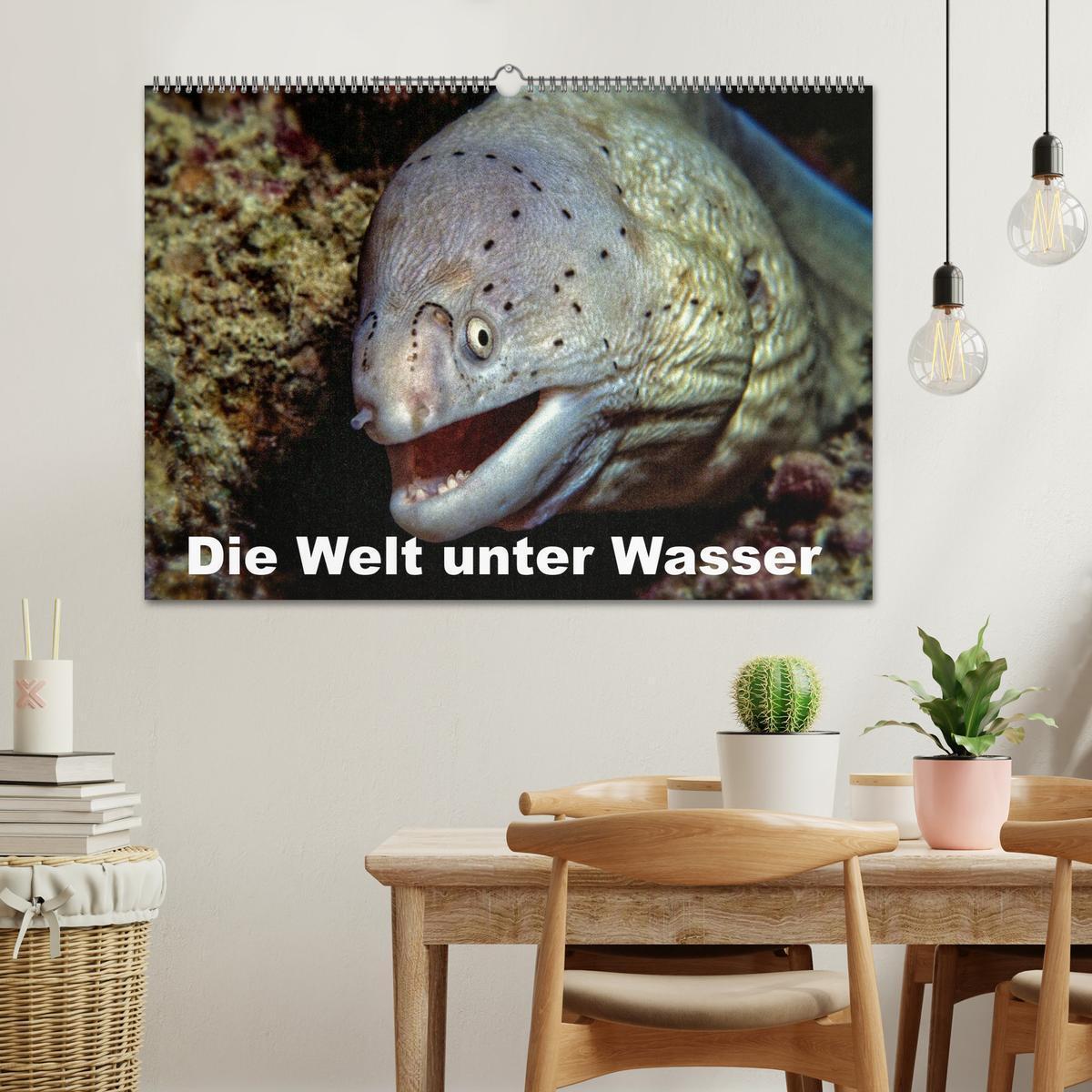 Bild: 9783435705153 | Die Welt unter Wasser (Wandkalender 2025 DIN A2 quer), CALVENDO...