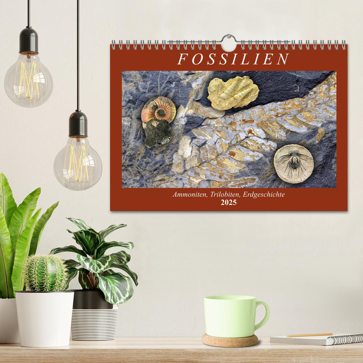 Bild: 9783435254590 | Fossilien - Ammoniten, Trilobiten, Erdgeschichte (Wandkalender 2025...