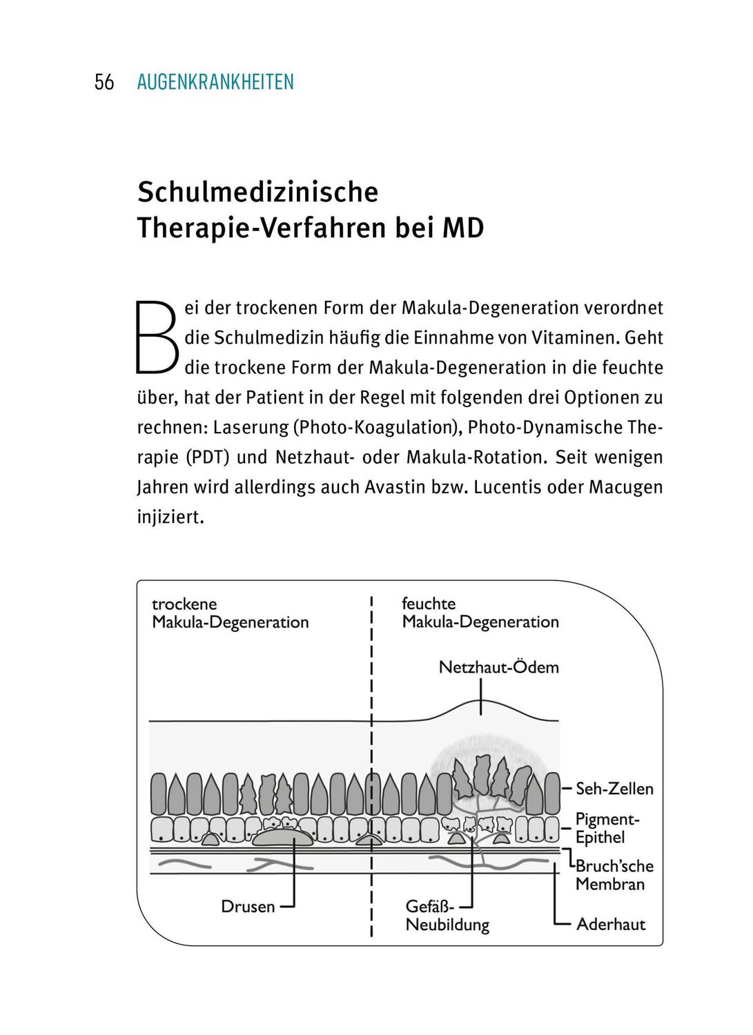 Bild: 9783981252088 | Heile Deine Augen | Andreas Nieswandt | Buch | 225 S. | Deutsch | 2021