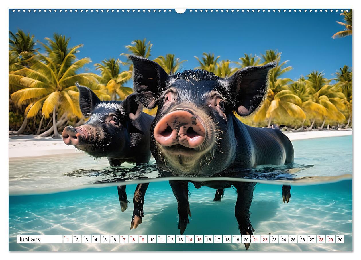 Bild: 9783383834738 | Schwimmende Schweine im Paradies (Wandkalender 2025 DIN A2 quer),...