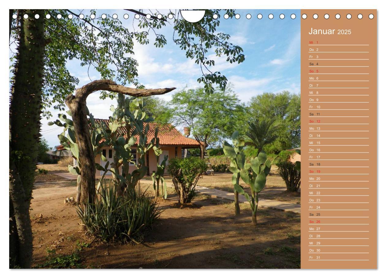 Bild: 9783435774081 | Bilder aus dem Chaco in Paraguay (Wandkalender 2025 DIN A4 quer),...