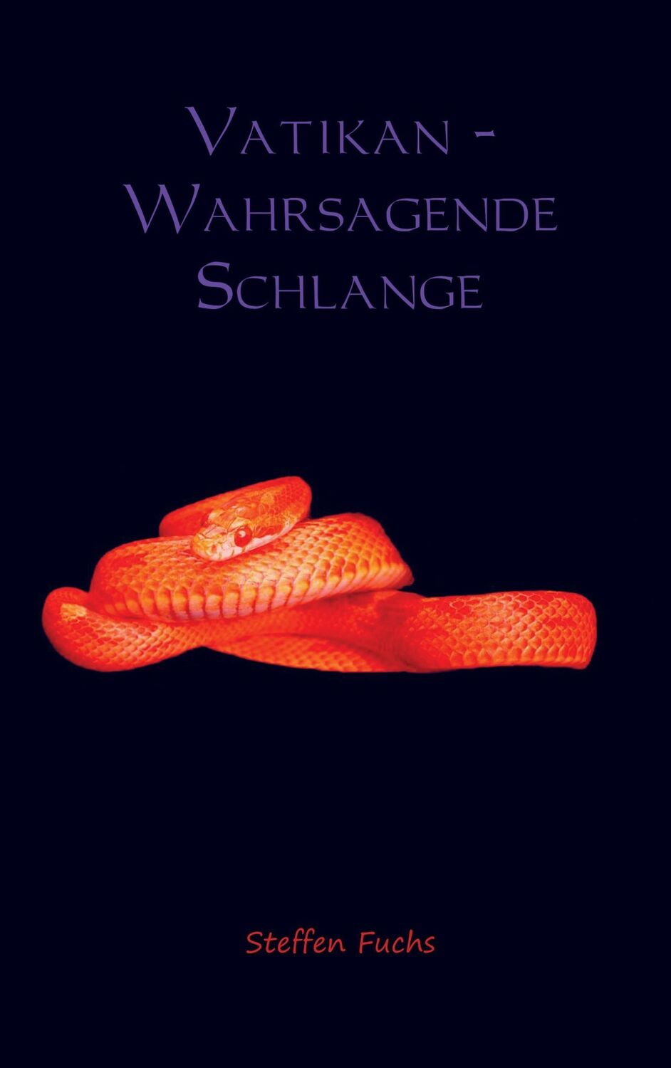 Cover: 9789462547216 | Vatikan - Wahrsagende Schlange | Steffen Fuchs | Taschenbuch | 156 S.