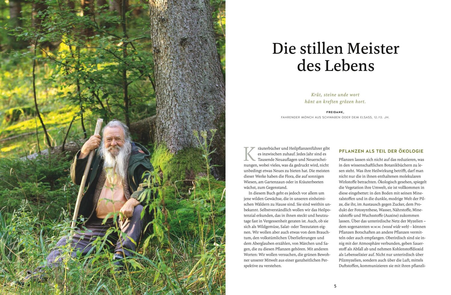 Bild: 9783833877841 | Meine Kräuter des Waldes | Wolf-Dieter Storl | Buch | GU Garten extra