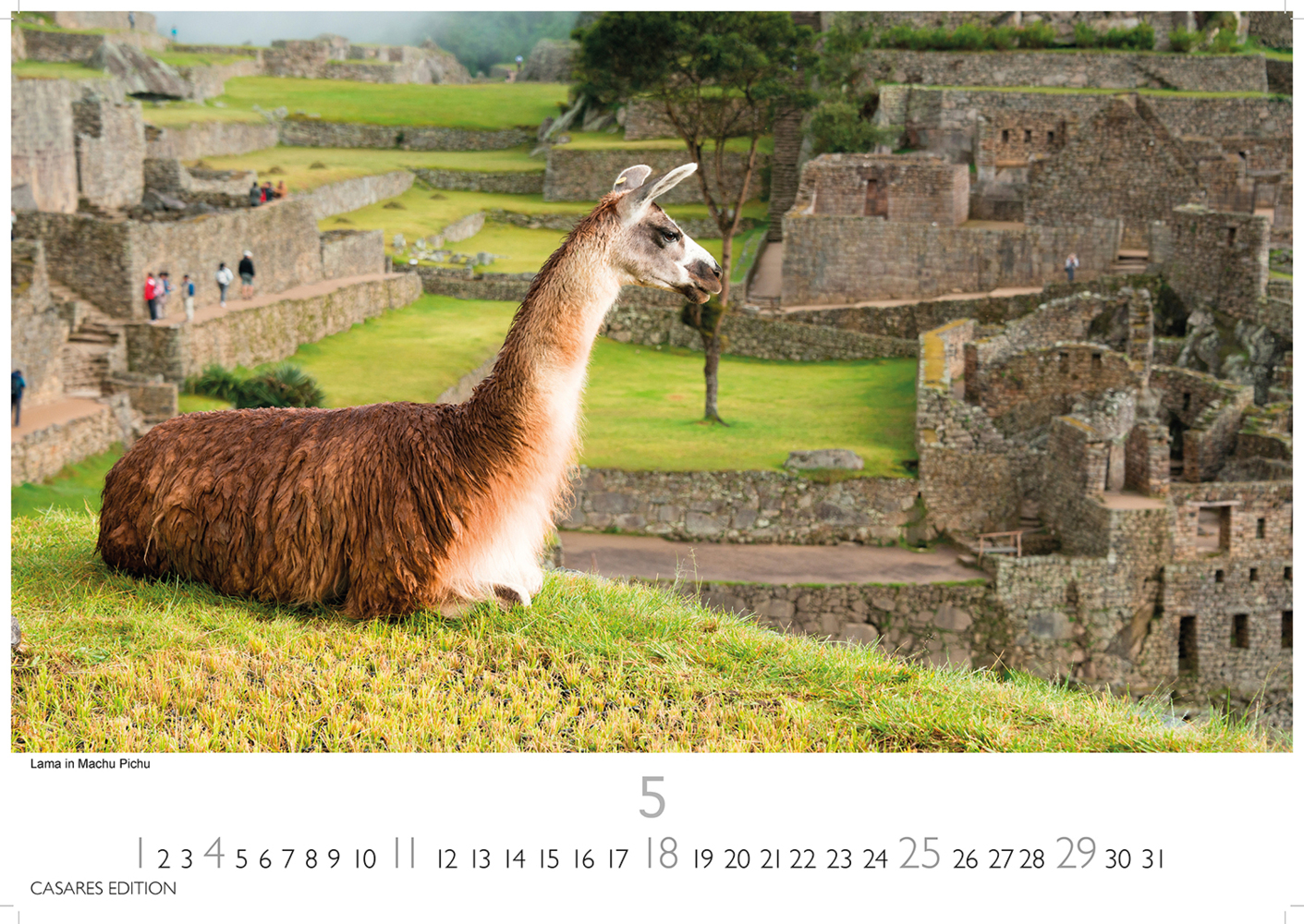 Bild: 9781835242599 | Peru 2025 S 24x35cm | Kalender | 14 S. | Deutsch | 2025