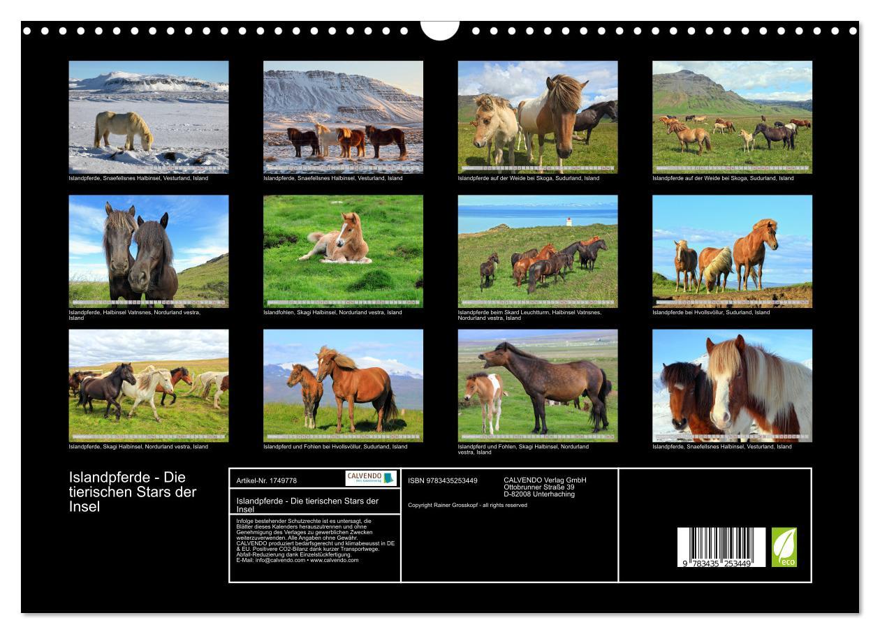 Bild: 9783435253449 | Islandpferde - Die tierischen Stars der Insel (Wandkalender 2025...