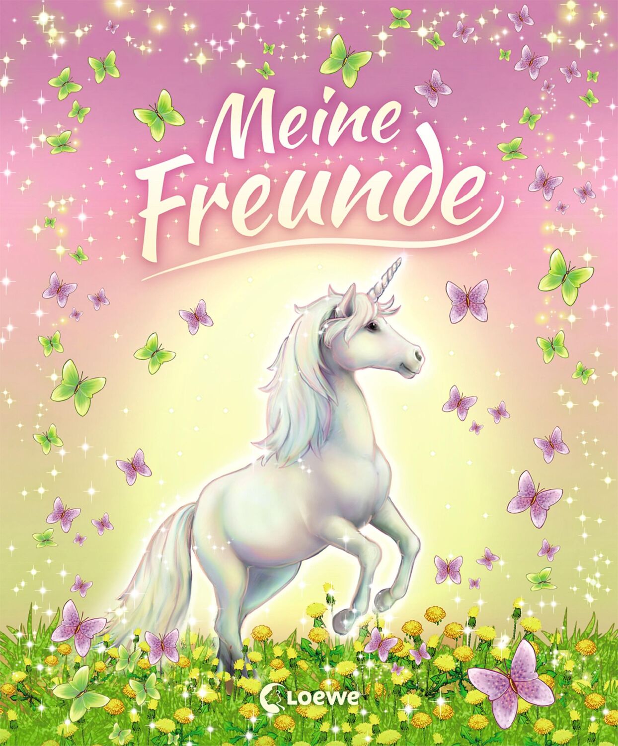 Cover: 9783785588611 | Meine Freunde (Einhörner) | Carolin Ina Schröter | Buch | 80 S. | 2018