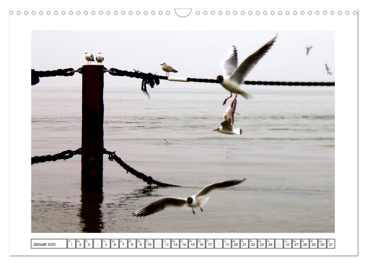 Bild: 9783435624614 | Nordseefeeling - Cuxhaven (Wandkalender 2025 DIN A3 quer), CALVENDO...