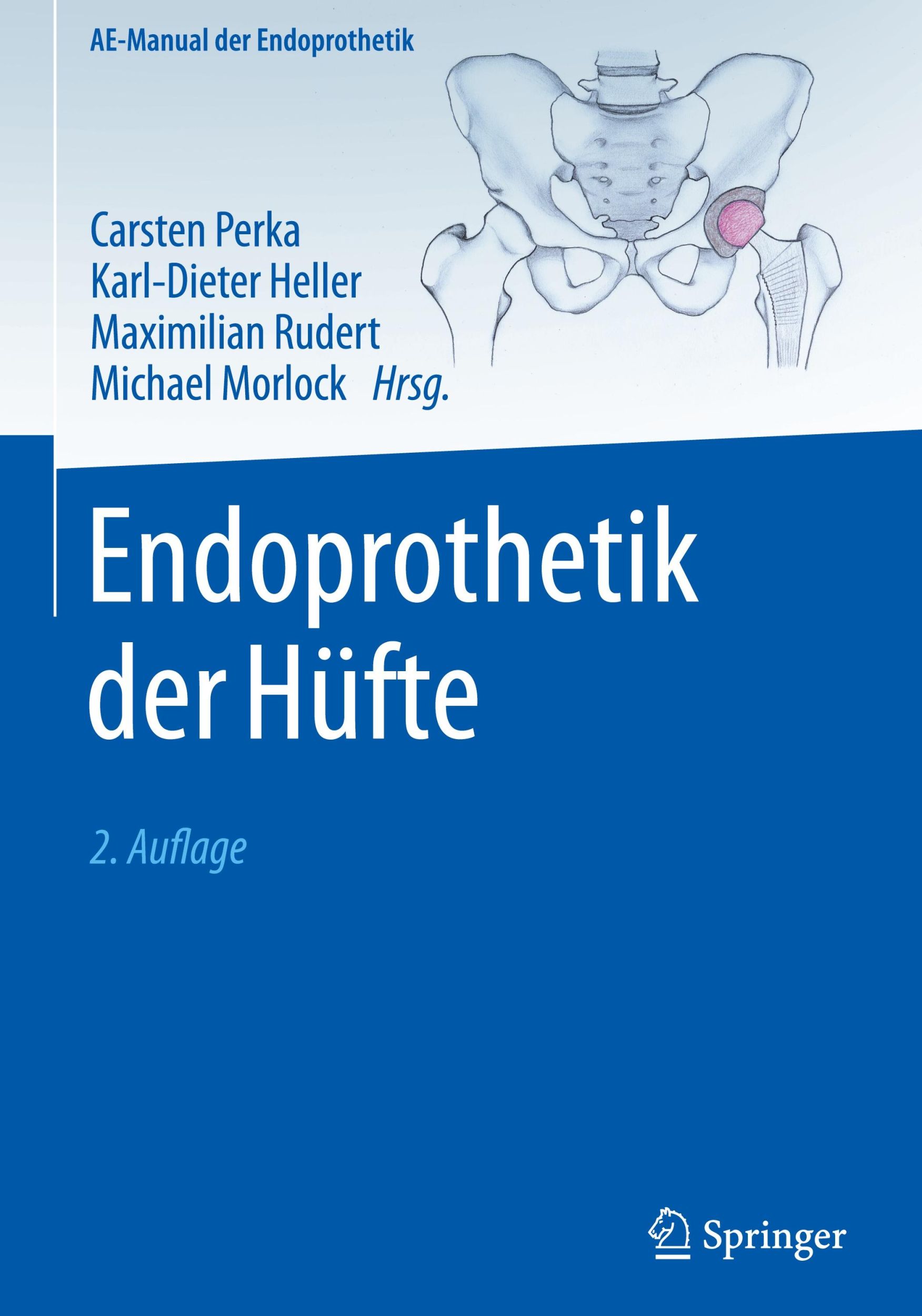 Cover: 9783662686164 | Endoprothetik der Hüfte | Carsten Perka (u. a.) | Buch | xxi | Deutsch