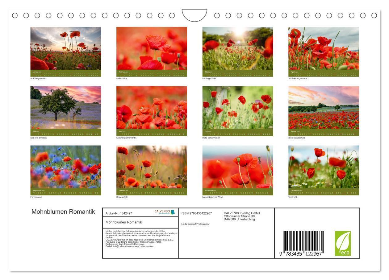 Bild: 9783435122967 | Mohnblumen Romantik (Wandkalender 2025 DIN A4 quer), CALVENDO...