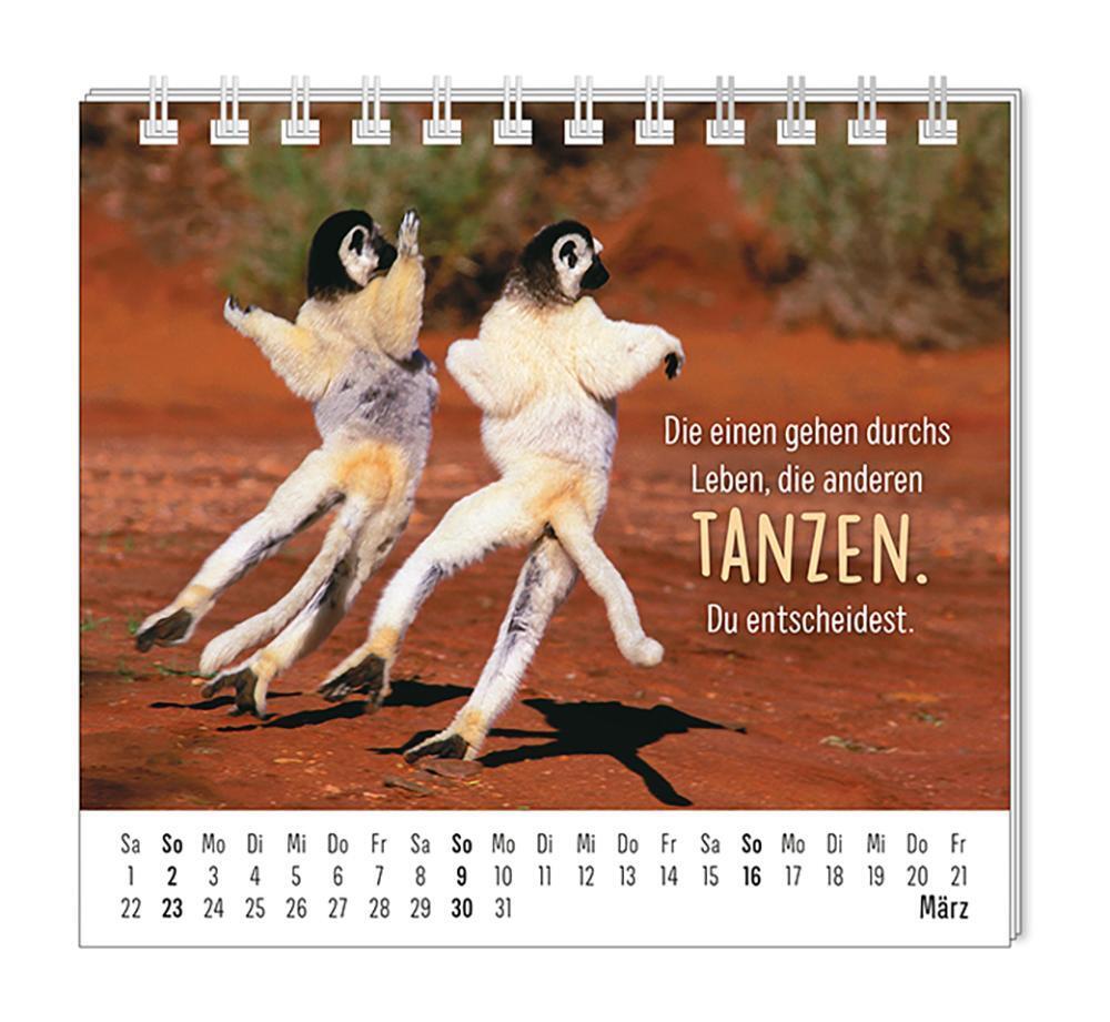 Bild: 9783986361099 | Mini-Kalender 2025 Happymacher | Mini-Kalender | Original | Kalender