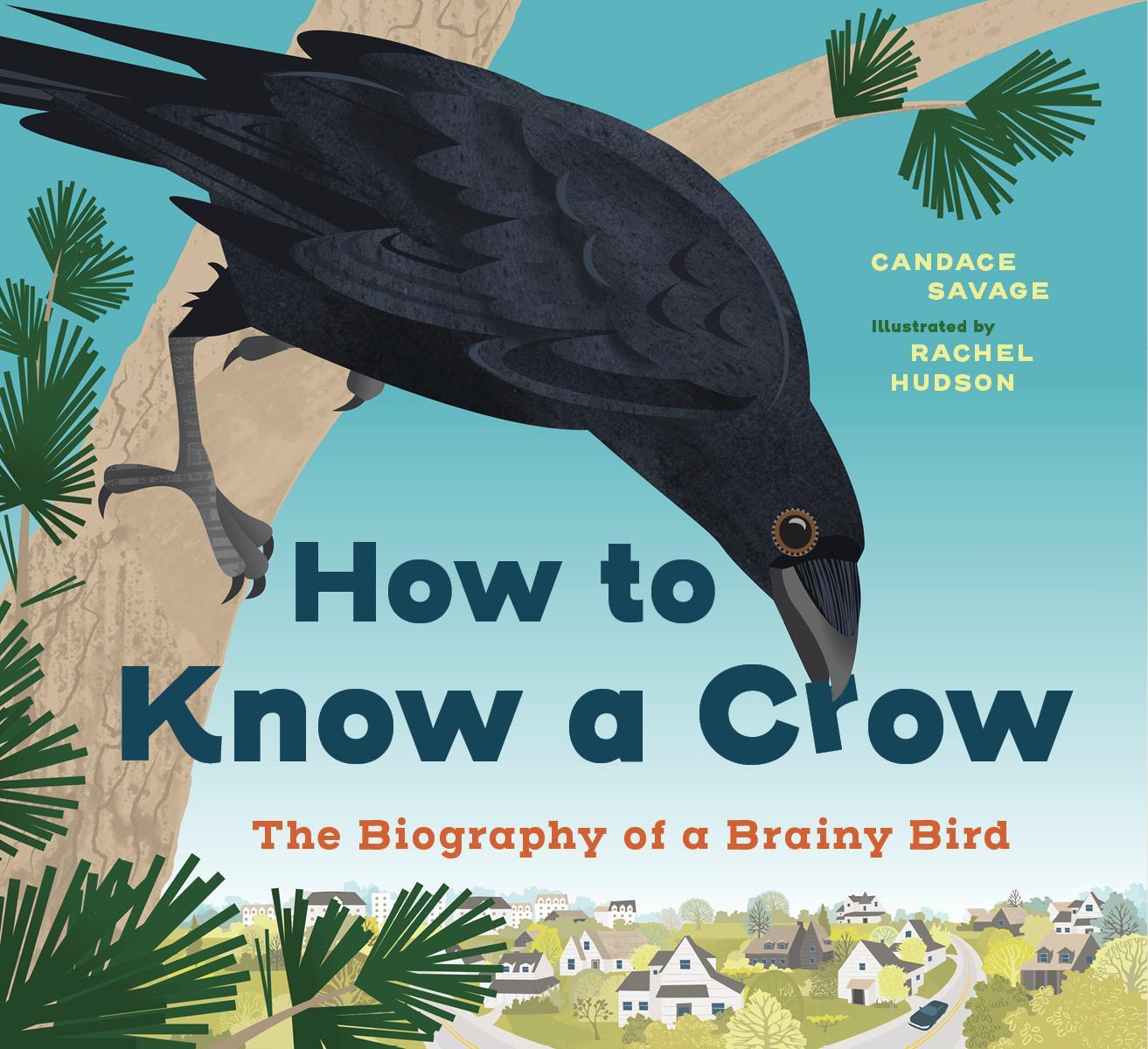 Cover: 9781771649162 | How to Know a Crow | The Biography of a Brainy Bird | Candace Savage