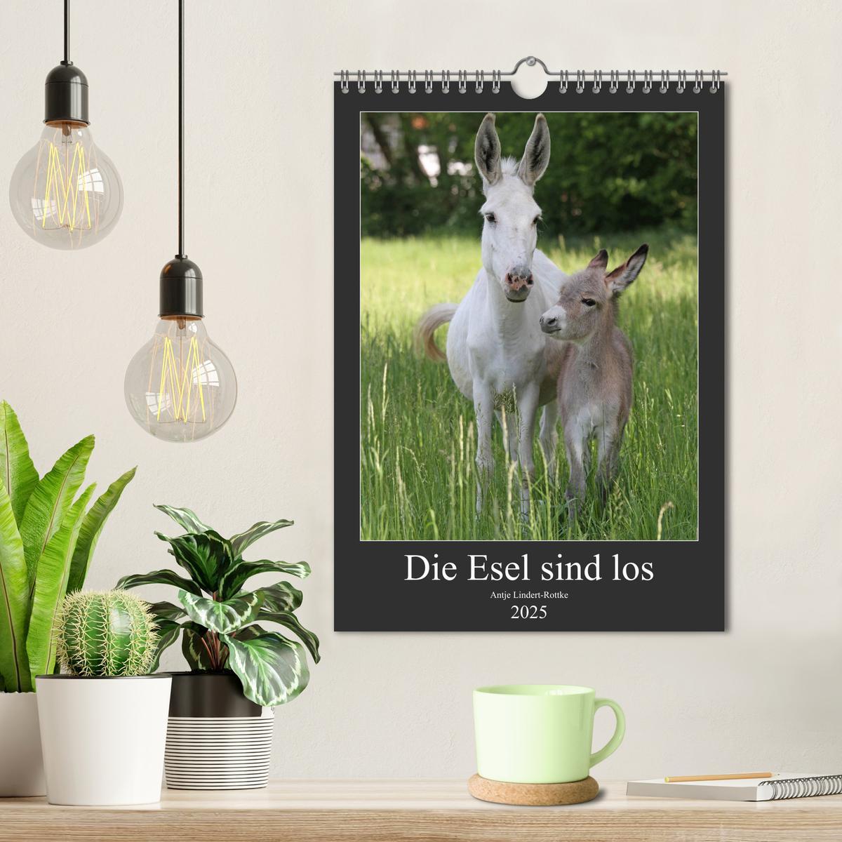 Bild: 9783435985067 | Die Esel sind los (Wandkalender 2025 DIN A4 hoch), CALVENDO...