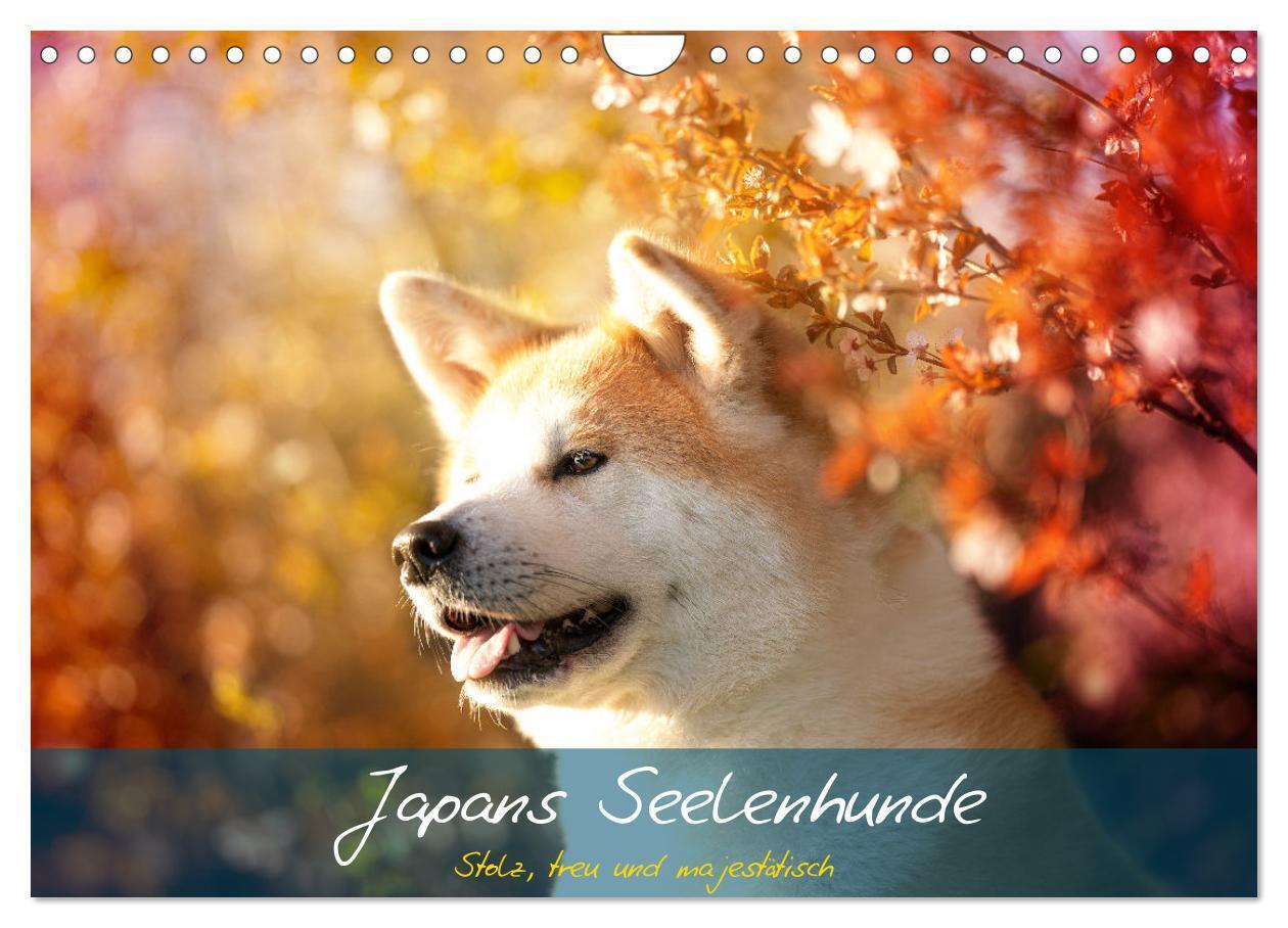 Cover: 9783435102235 | Japans Seelenhunde (Wandkalender 2025 DIN A4 quer), CALVENDO...