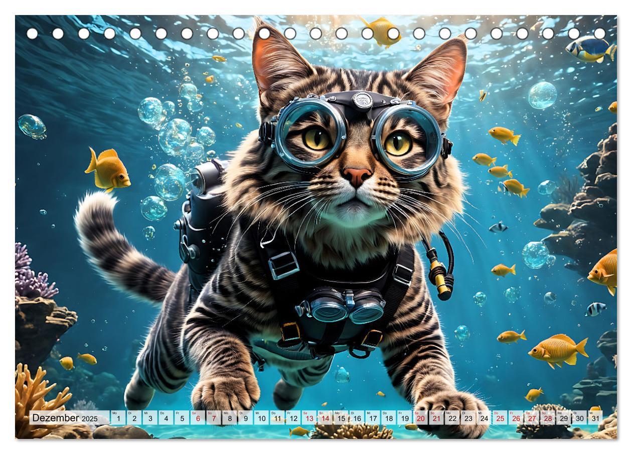 Bild: 9783383843945 | Katzen unter Wasser (Tischkalender 2025 DIN A5 quer), CALVENDO...