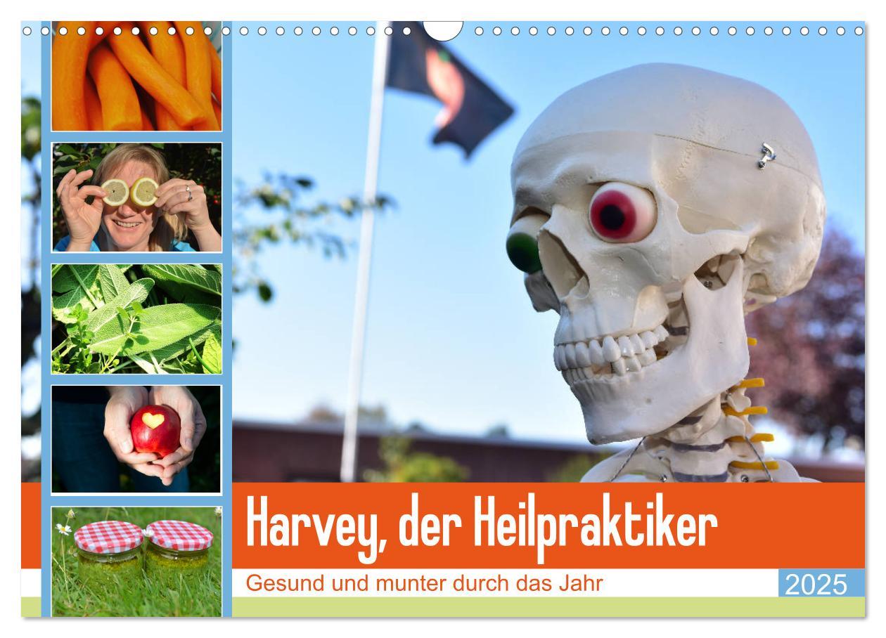 Cover: 9783435278602 | Harvey, der Heilpraktiker (Wandkalender 2025 DIN A3 quer), CALVENDO...