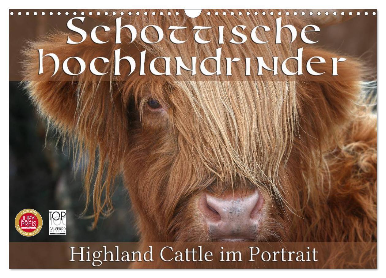 Cover: 9783435731145 | Schottische Hochlandrinder - Highland Cattle im Portrait...