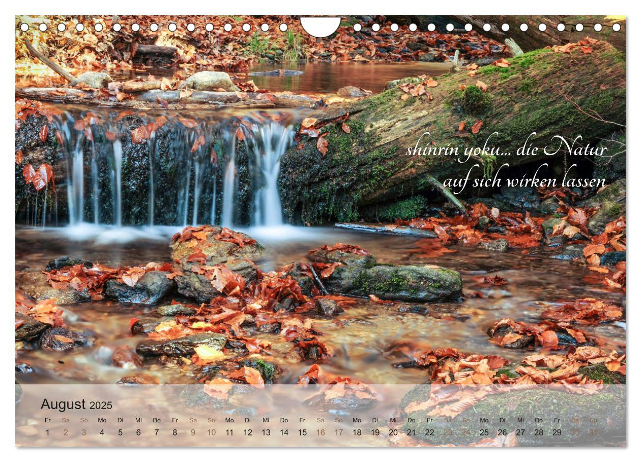 Bild: 9783435302376 | Shinrin yoku - Waldbaden 2025 (Wandkalender 2025 DIN A4 quer),...