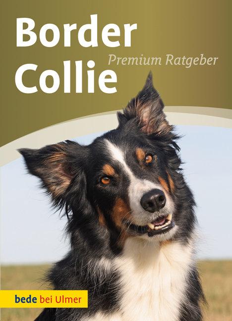 Cover: 9783800167319 | Border Collie | Annette Schmitt | Buch | bede bei Ulmer | 128 S.