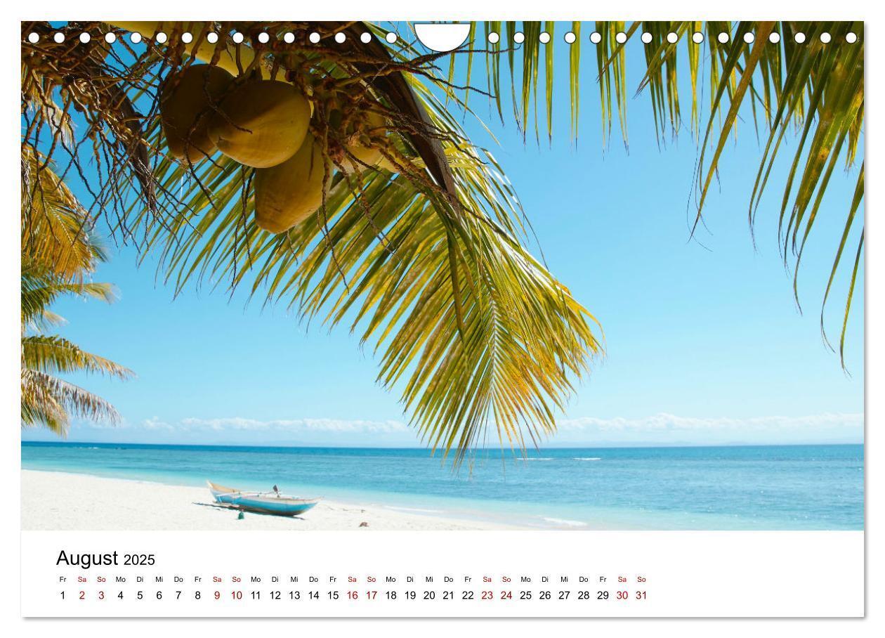 Bild: 9783383998409 | Naturparadies Madagaskar (Wandkalender 2025 DIN A4 quer), CALVENDO...