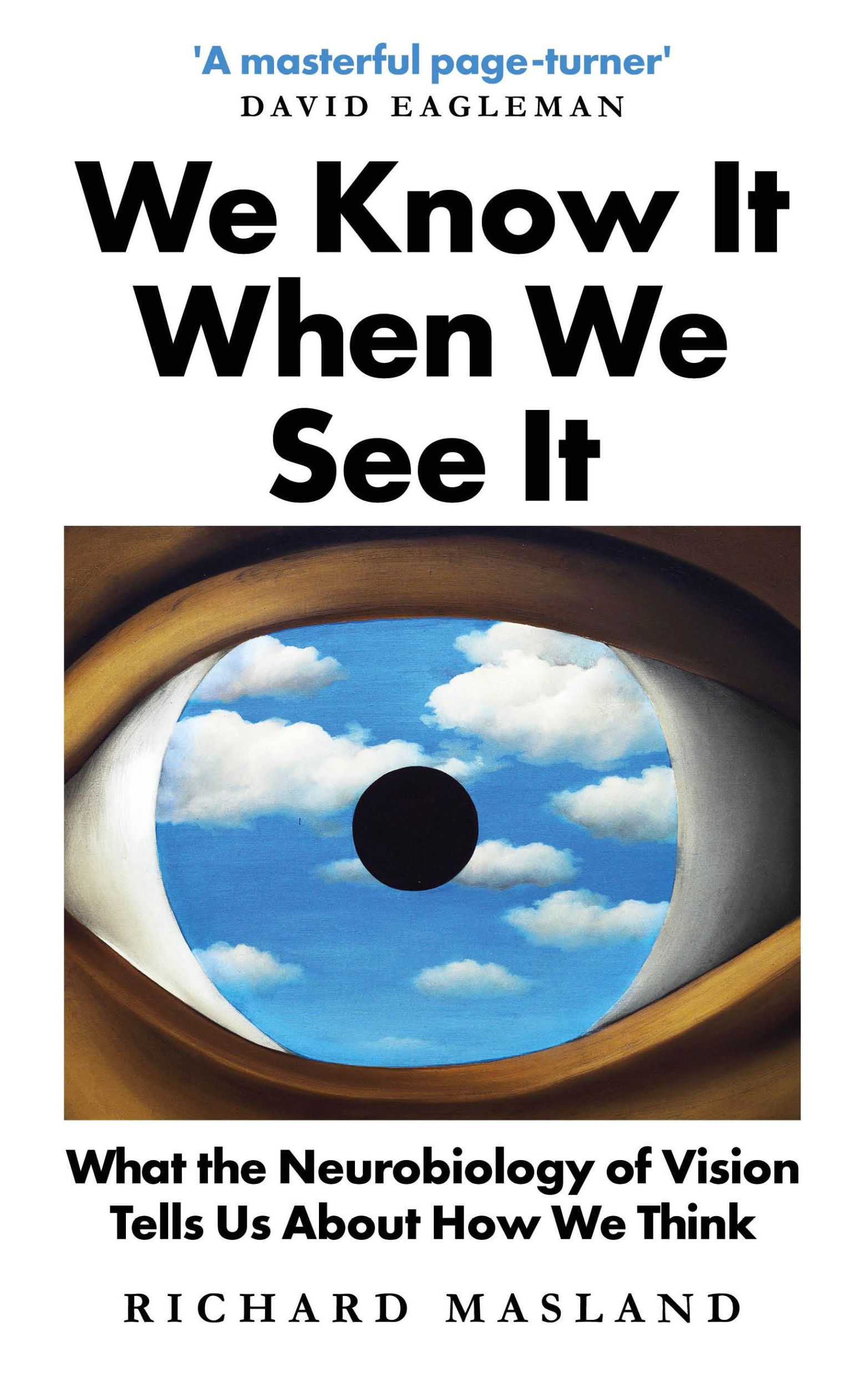 Cover: 9781786078162 | We Know It When We See It | Richard Masland | Buch | Englisch | 2021