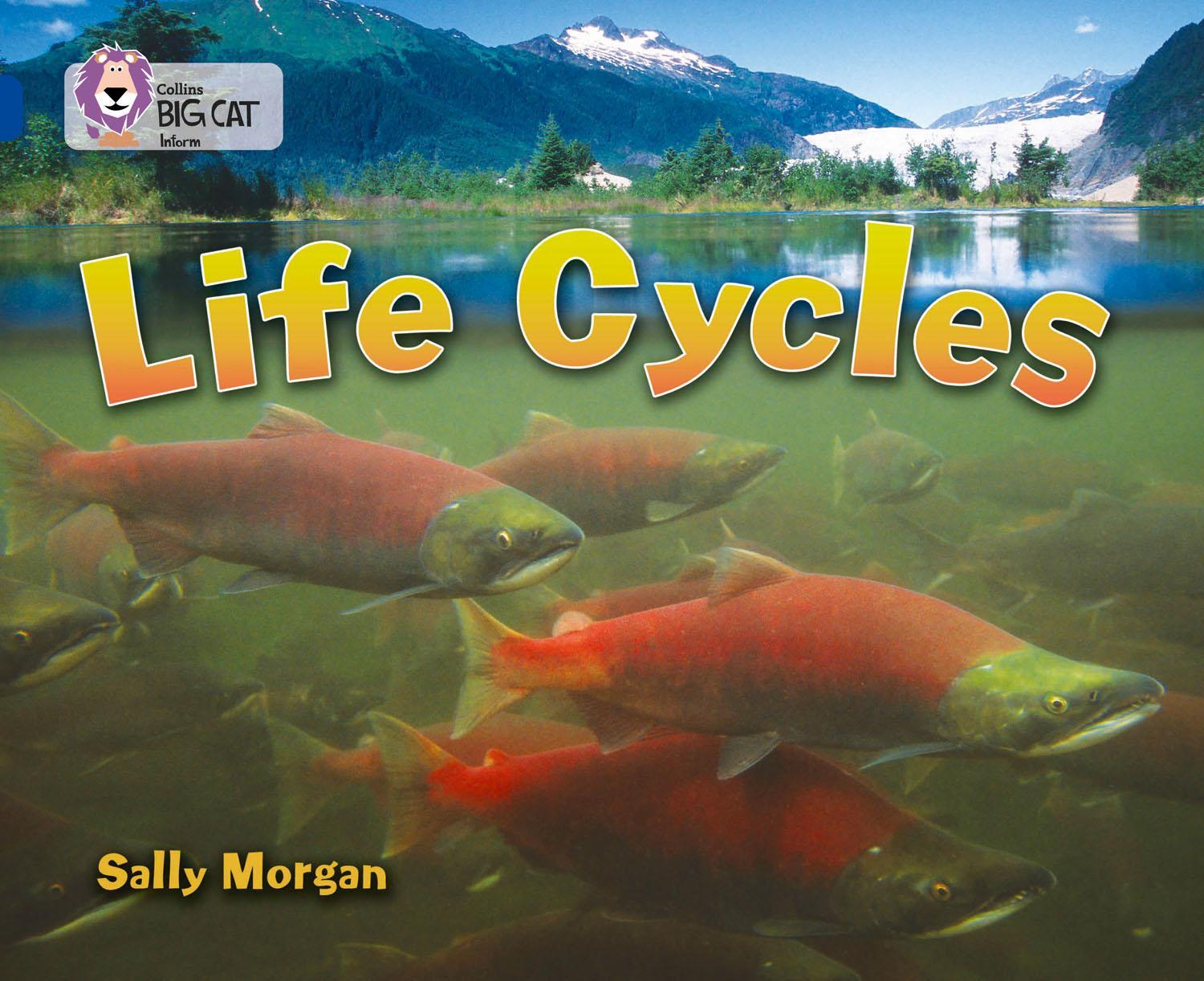 Cover: 9780007336401 | Life Cycles | Band 16/Sapphire | Sally Morgan | Taschenbuch | Englisch