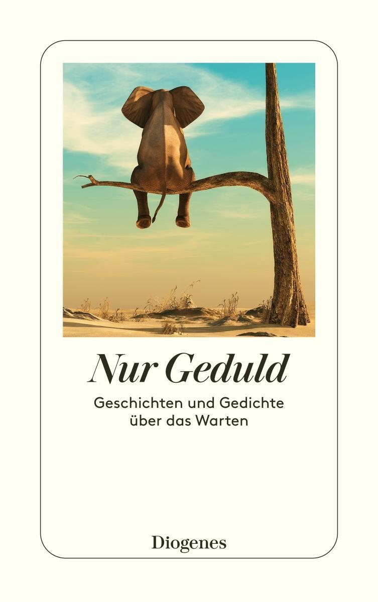 Cover: 9783257247459 | Nur Geduld | Geschichten und Gedichte über das Warten | Schoknecht