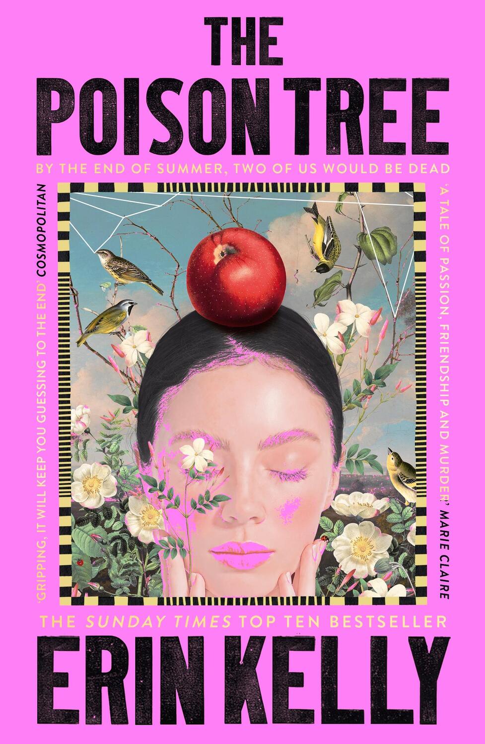 Cover: 9781444701050 | The Poison Tree | Erin Kelly | Taschenbuch | Kartoniert / Broschiert