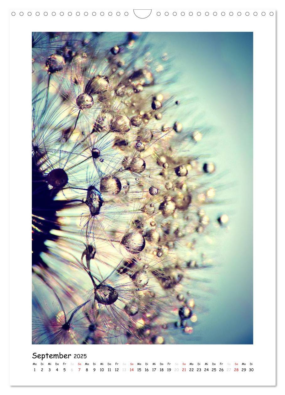 Bild: 9783457054536 | Die Pusteblume neu erleben (Wandkalender 2025 DIN A3 hoch),...