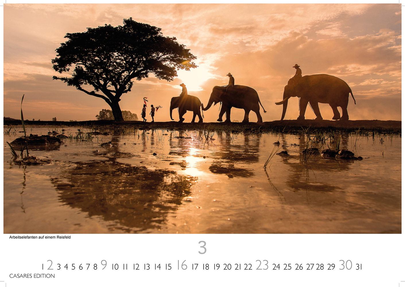 Bild: 9781835242346 | Myanmar 2025 L 35x50cm | Kalender | 14 S. | Deutsch | 2025