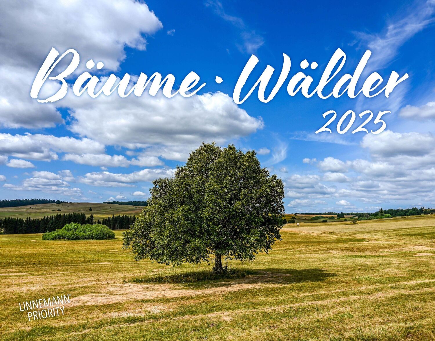 Cover: 9783862923397 | Bäume-Wälder 2025 Großformat-Kalender 58 x 45,5 cm | Linnemann Verlag