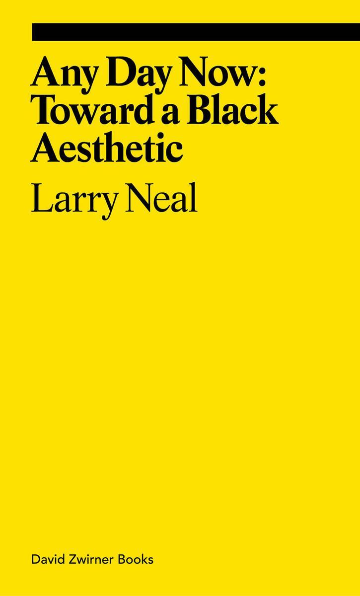 Cover: 9781644231203 | Any Day Now: Toward a Black Aesthetic | Larry Neal | Taschenbuch