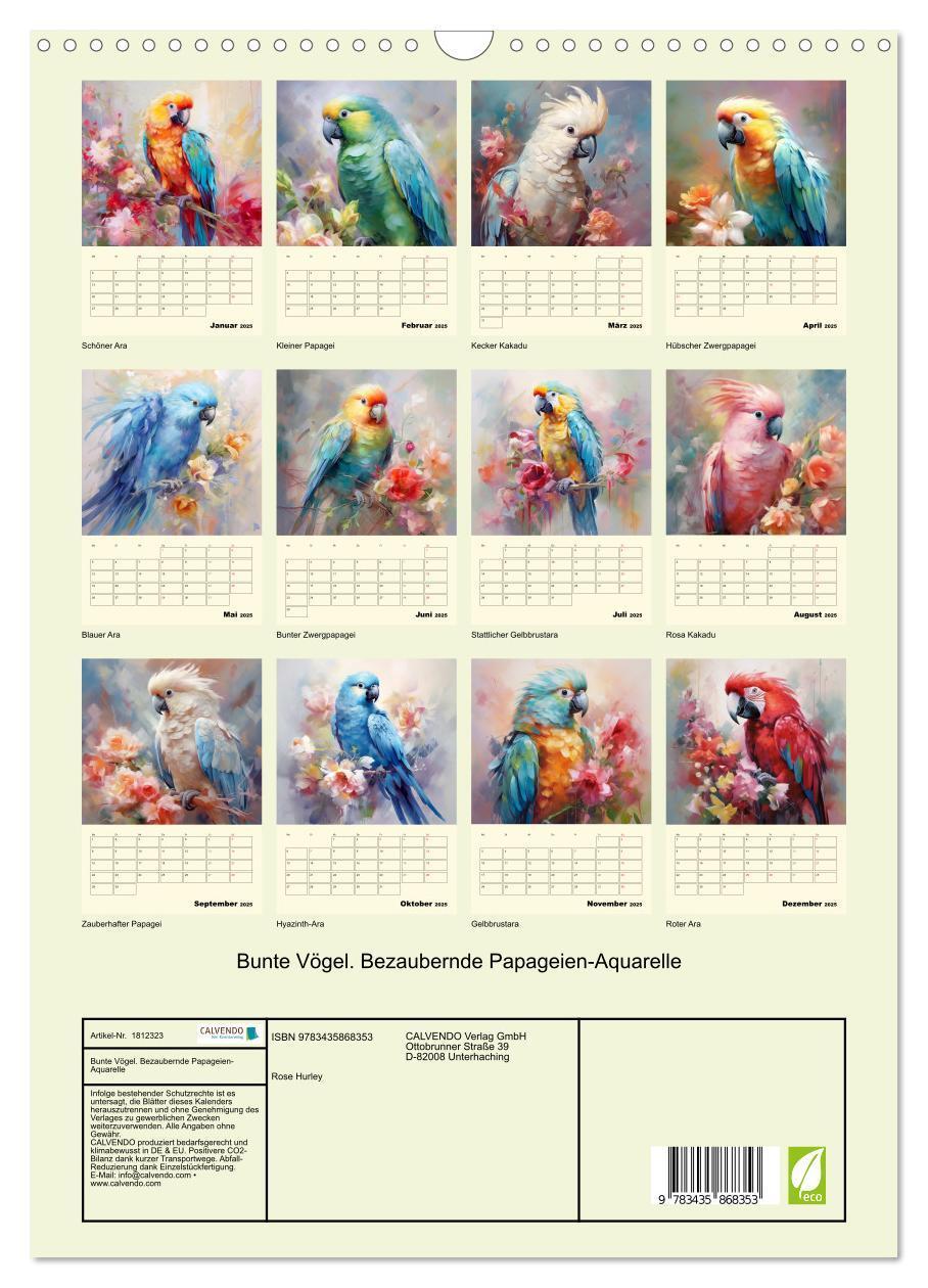 Bild: 9783435868353 | Bunte Vögel. Bezaubernde Papageien-Aquarelle (Wandkalender 2025 DIN...