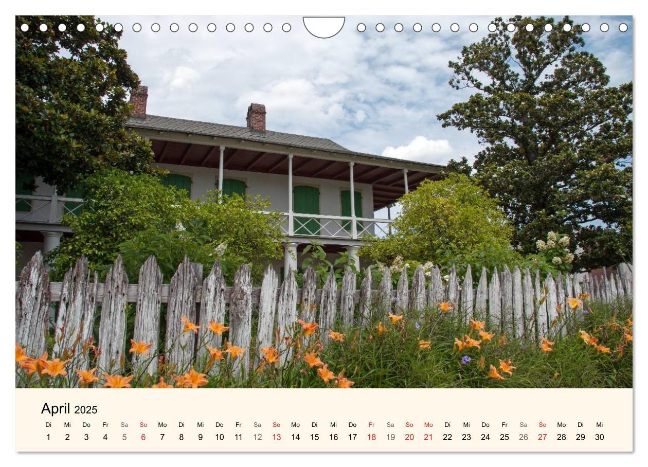 Bild: 9783435734399 | Sommer in New Orleans (Wandkalender 2025 DIN A4 quer), CALVENDO...