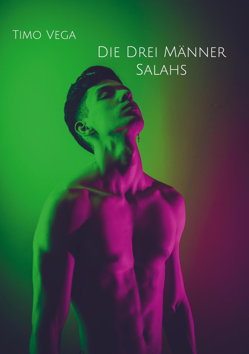 Cover: 9783743174573 | Die Drei Männer Salahs | Timo Vega | Taschenbuch | Paperback | 190 S.