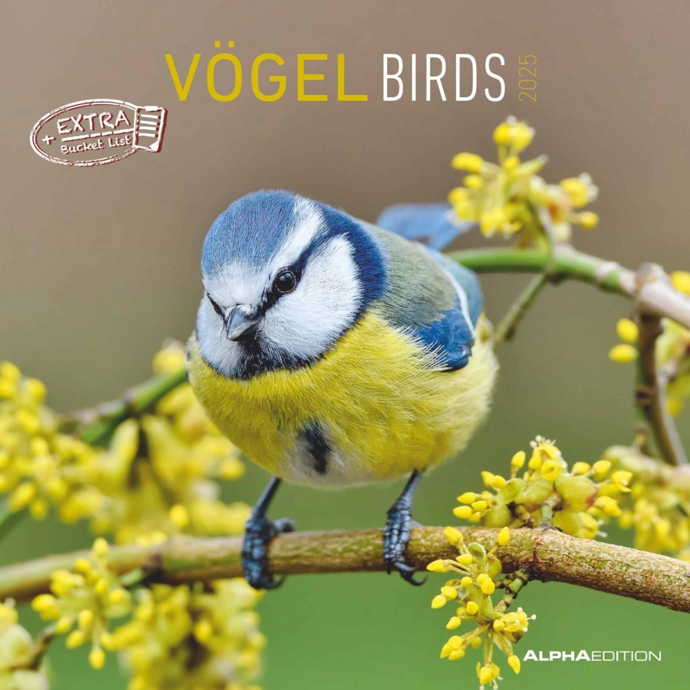 Cover: 4251732340728 | Alpha Edition - Vögel 2025 Broschürenkalender, 30x30cm,...