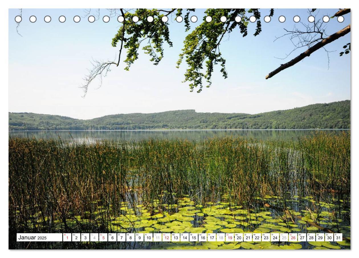 Bild: 9783435455447 | Naturlandschaft Laacher See (Tischkalender 2025 DIN A5 quer),...