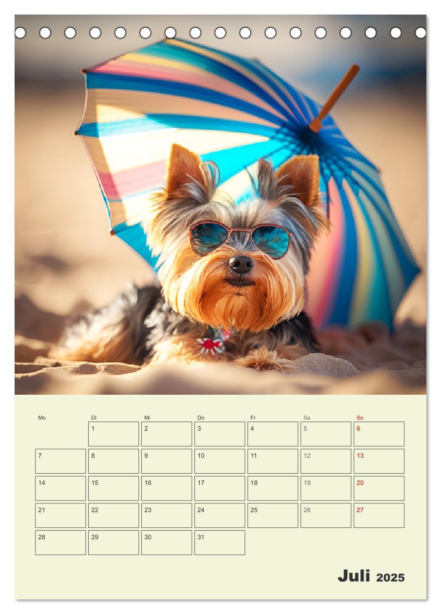 Bild: 9783435874705 | Yorkshire Terrier. Fröhliche Energiebündel in Aktion (Tischkalender...