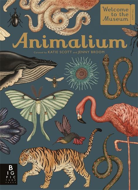 Cover: 9781787411647 | Animalium | Jenny Broom | Buch | Welcome to the Museum | Gebunden