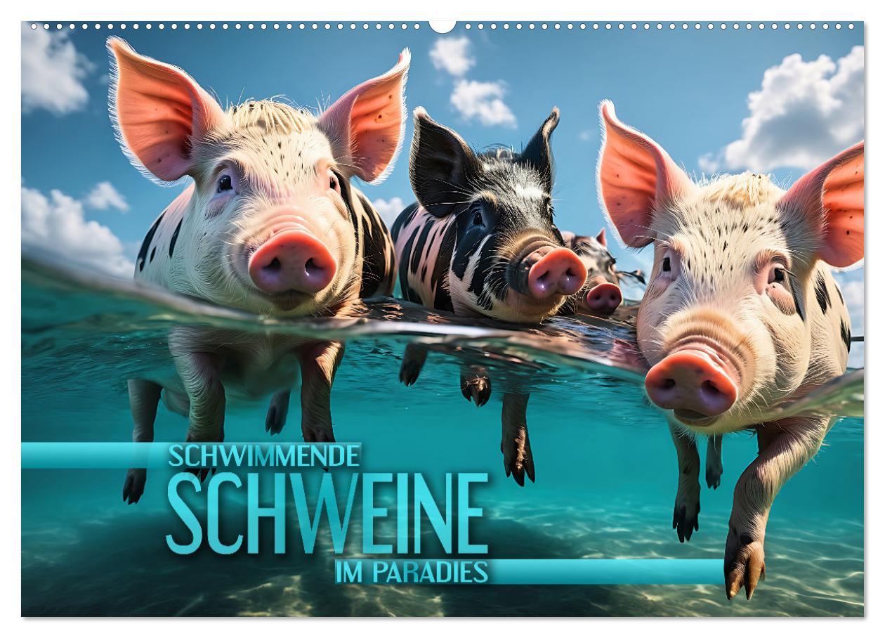 Cover: 9783383834738 | Schwimmende Schweine im Paradies (Wandkalender 2025 DIN A2 quer),...