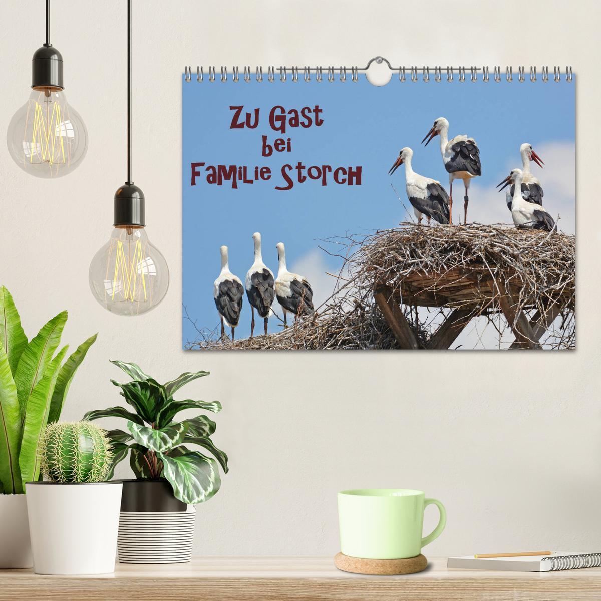 Bild: 9783435145720 | Zu Gast bei Familie Storch (Wandkalender 2025 DIN A4 quer),...