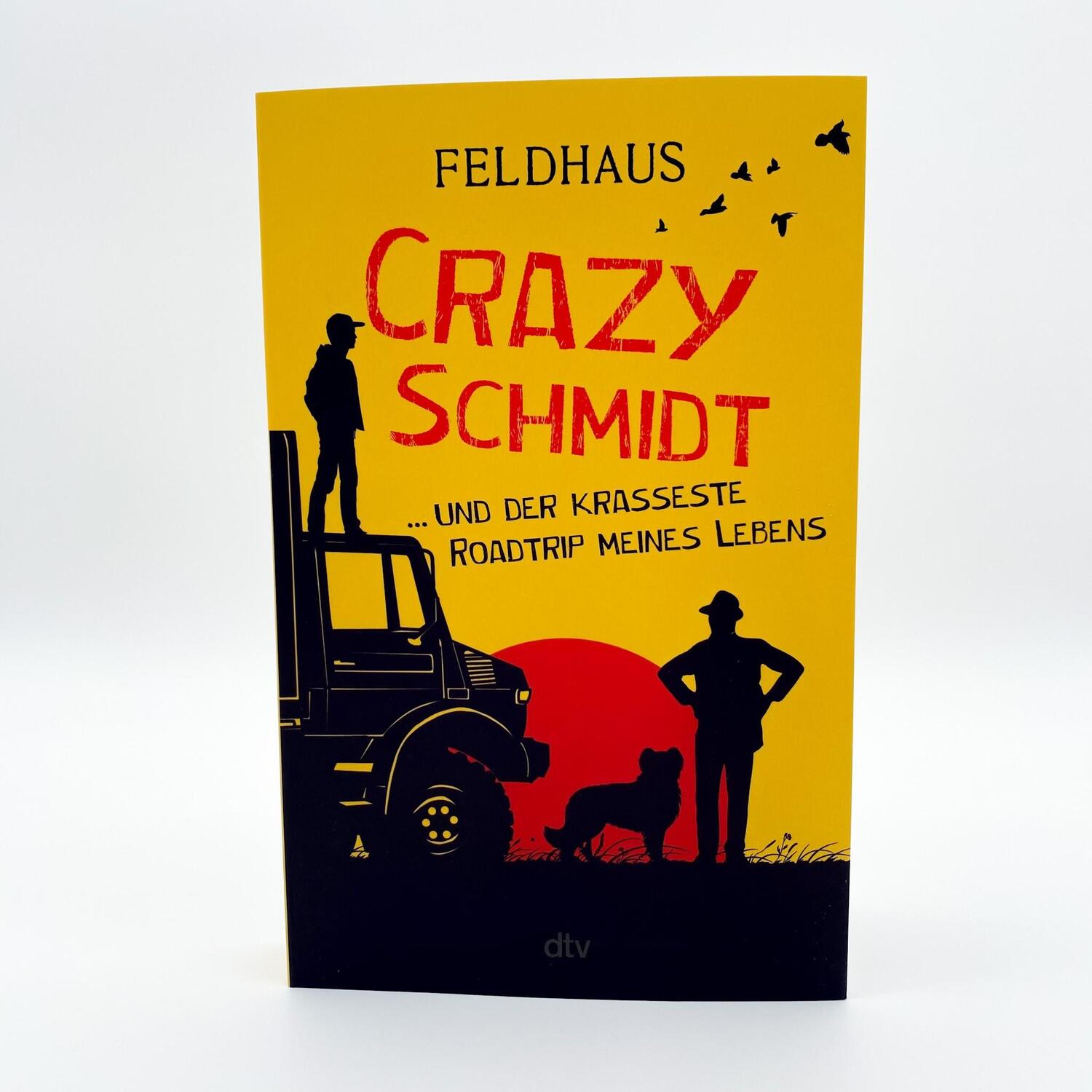 Bild: 9783423740951 | Crazy Schmidt ... und der krasseste Roadtrip meines Lebens | Feldhaus