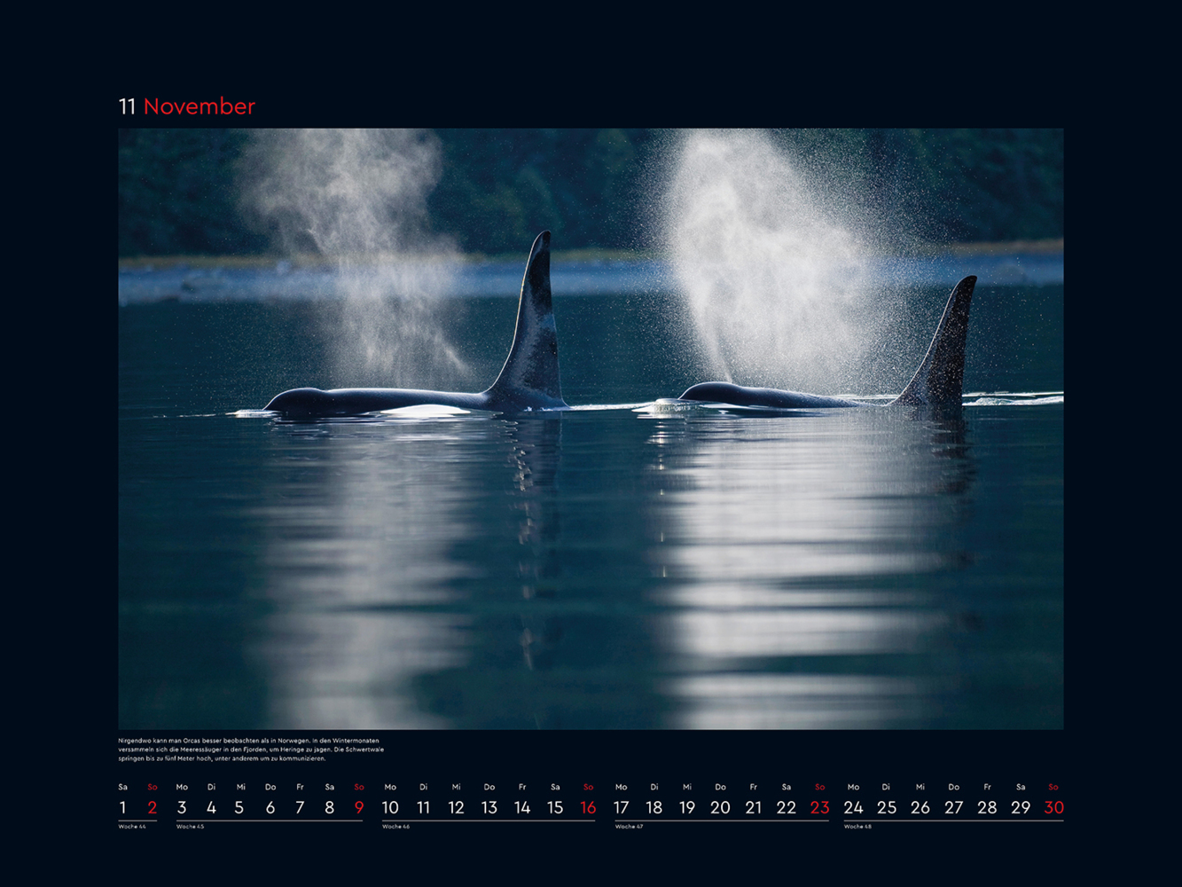 Bild: 9783965913400 | Hurtigruten - KUNTH Wandkalender 2025 | Kalender | 14 S. | Deutsch