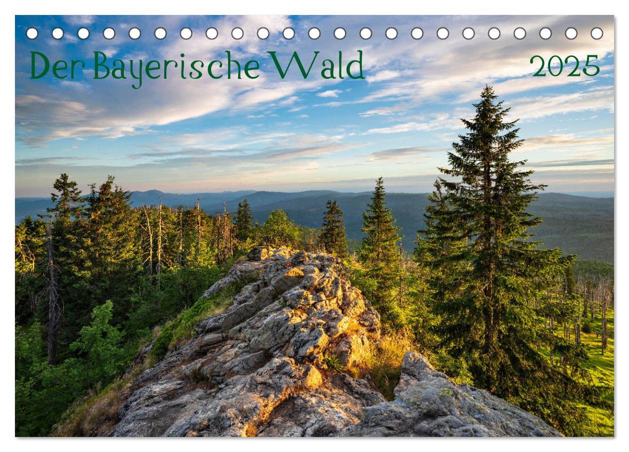 Cover: 9783435192946 | Der Bayerische Wald (Tischkalender 2025 DIN A5 quer), CALVENDO...