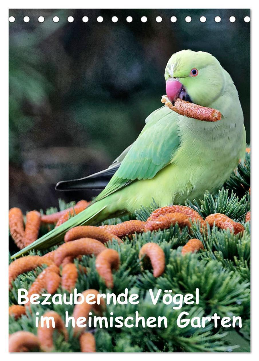 Cover: 9783457007334 | Bezaubernde Vögel im heimischen Garten (Tischkalender 2025 DIN A5...