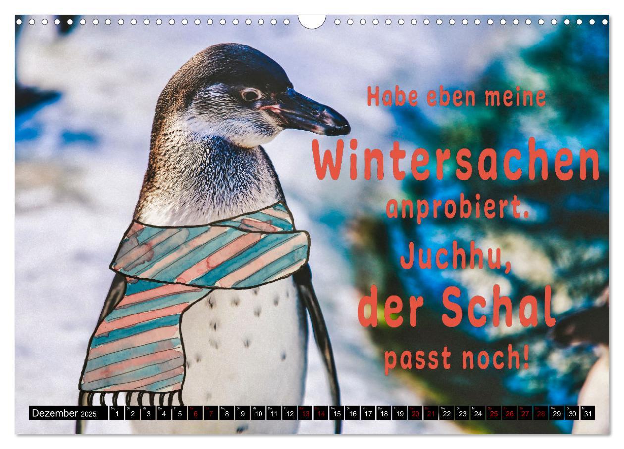 Bild: 9783435088393 | Spruchreif - Gute-Laune-Kalender (Wandkalender 2025 DIN A3 quer),...